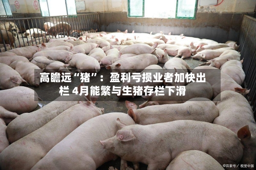 高瞻远“猪”：盈利亏损业者加快出栏 4月能繁与生猪存栏下滑-第2张图片