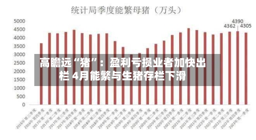 高瞻远“猪	”：盈利亏损业者加快出栏 4月能繁与生猪存栏下滑-第1张图片