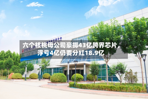 六个核桃母公司豪掷43亿跨界芯片，浮亏4亿仍要分红18.9亿-第2张图片