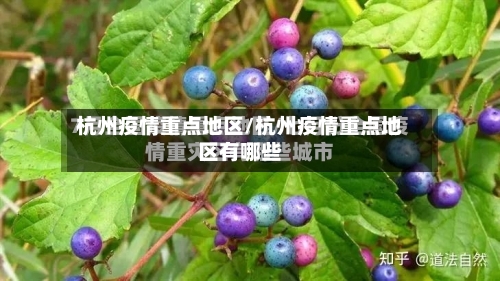 杭州疫情重点地区/杭州疫情重点地区有哪些-第2张图片