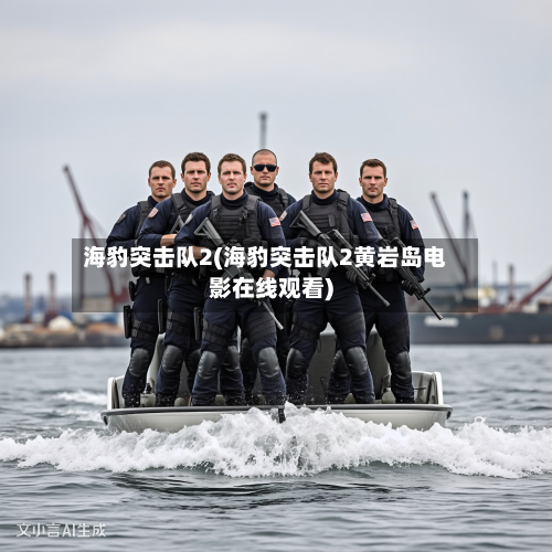 海豹突击队2(海豹突击队2黄岩岛电影在线观看)-第1张图片