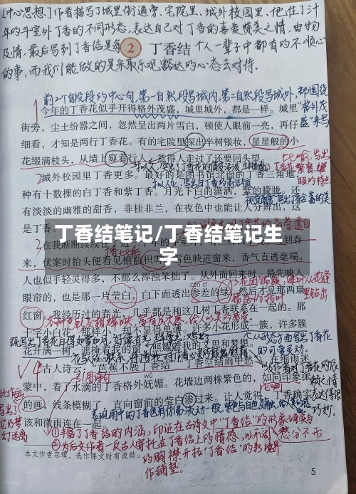 丁香结笔记/丁香结笔记生字-第1张图片