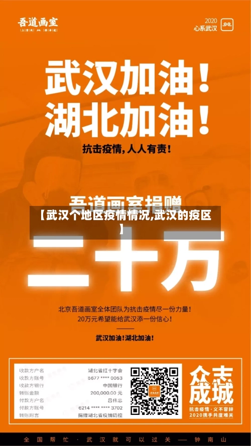 【武汉个地区疫情情况,武汉的疫区】-第2张图片