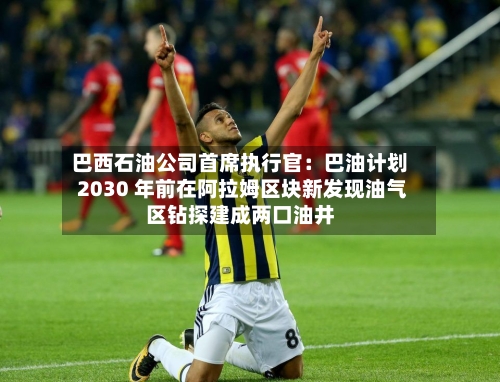 巴西石油公司首席执行官：巴油计划 2030 年前在阿拉姆区块新发现油气区钻探建成两口油井-第1张图片