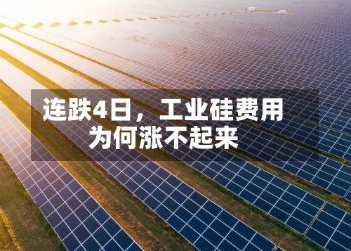 连跌4日，工业硅费用为何涨不起来-第1张图片