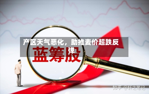 产区天气恶化，助推麦价超跌反弹-第1张图片