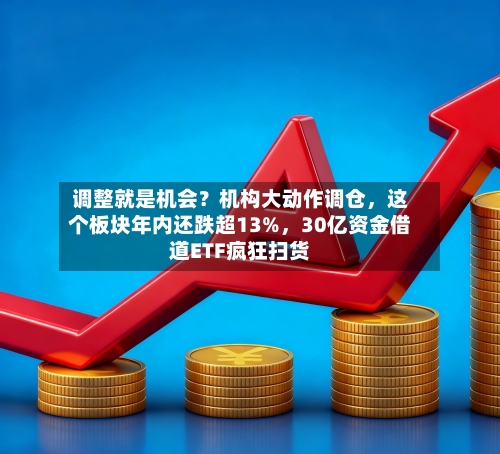 调整就是机会？机构大动作调仓，这个板块年内还跌超13%	，30亿资金借道ETF疯狂扫货-第2张图片