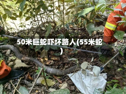 50米巨蛇吓坏路人(55米蛇)-第1张图片