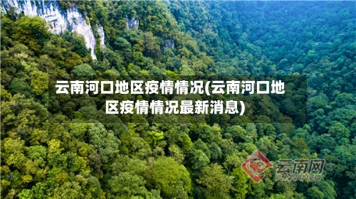 云南河口地区疫情情况(云南河口地区疫情情况最新消息)-第2张图片