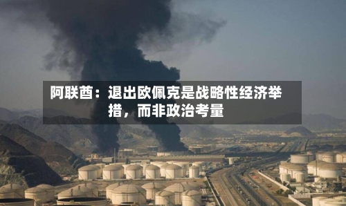 阿联酋：退出欧佩克是战略性经济举措，而非政治考量-第2张图片