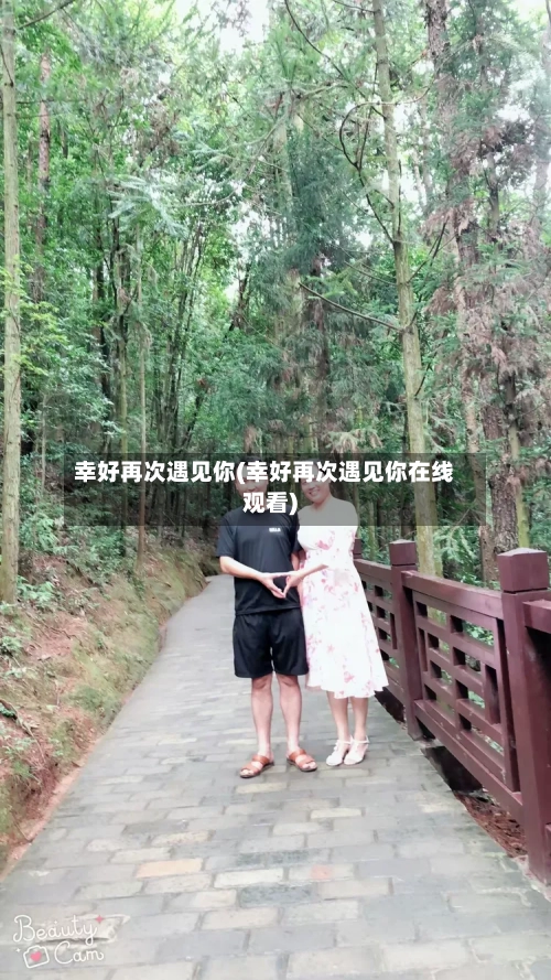 幸好再次遇见你(幸好再次遇见你在线观看)-第3张图片