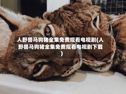 人野兽马狗猪全集免费观看电视剧(人野兽马狗猪全集免费观看电视剧下载)-第1张图片