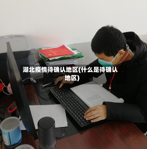 湖北疫情待确认地区(什么是待确认地区)-第1张图片