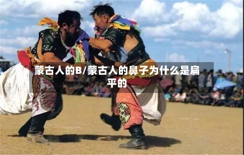 蒙古人的B/蒙古人的鼻子为什么是扁平的-第2张图片