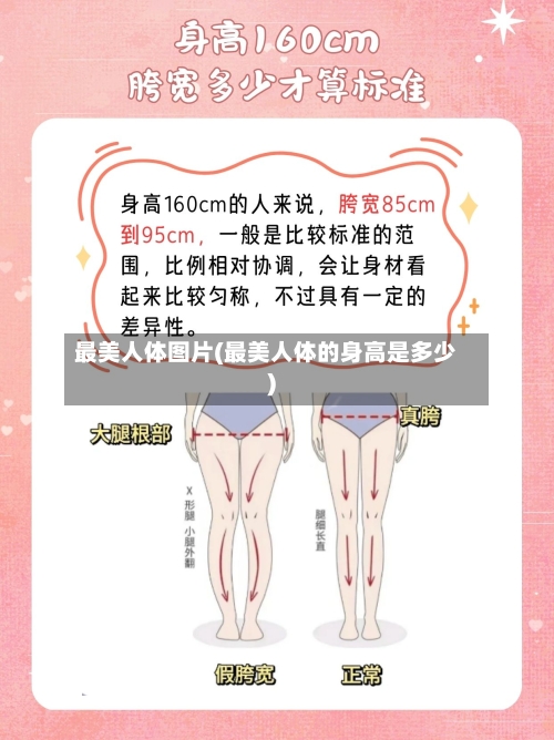 最美人体图片(最美人体的身高是多少)-第2张图片