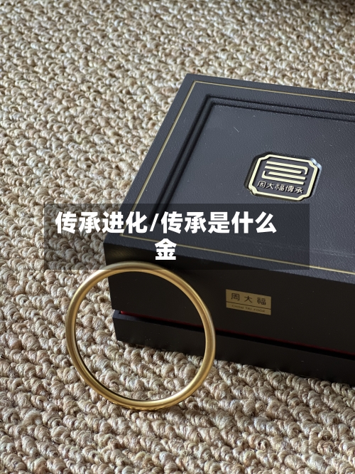 传承进化/传承是什么金-第1张图片