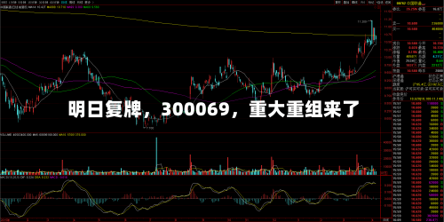 明日复牌，300069	，重大重组来了-第2张图片