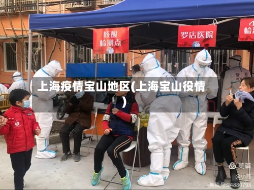 上海疫情宝山地区(上海宝山役情)-第1张图片
