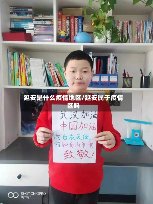 延安是什么疫情地区/延安属于疫情区吗-第3张图片