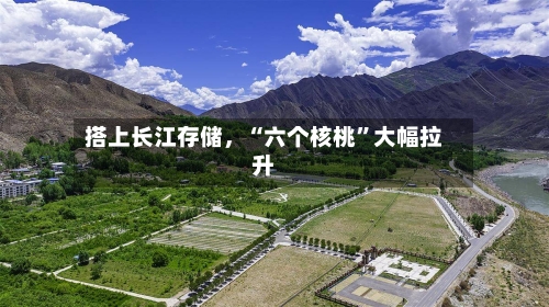 搭上长江存储，“六个核桃”大幅拉升-第3张图片