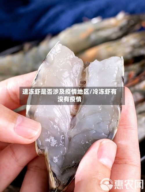 速冻虾是否涉及疫情地区/冷冻虾有没有疫情-第1张图片