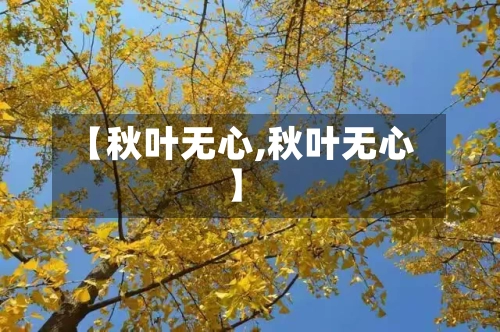 【秋叶无心,秋叶无心】-第1张图片