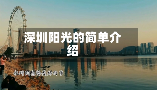深圳阳光的简单介绍-第1张图片
