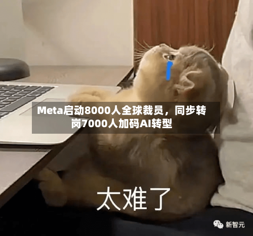 Meta启动8000人全球裁员	，同步转岗7000人加码AI转型-第1张图片