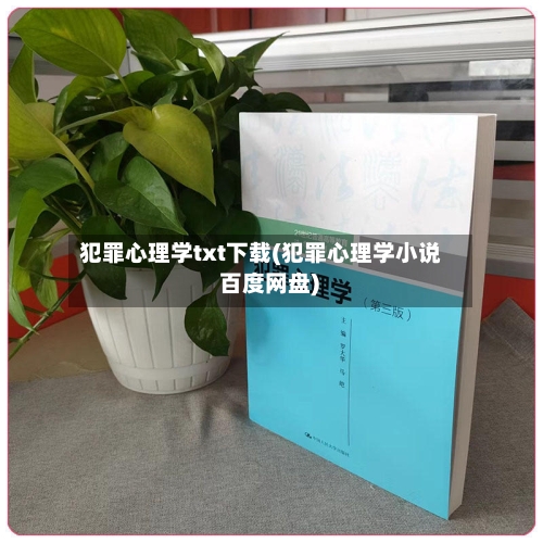 犯罪心理学txt下载(犯罪心理学小说 百度网盘)-第1张图片