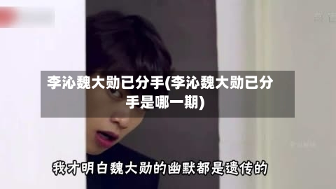 李沁魏大勋已分手(李沁魏大勋已分手是哪一期)-第1张图片