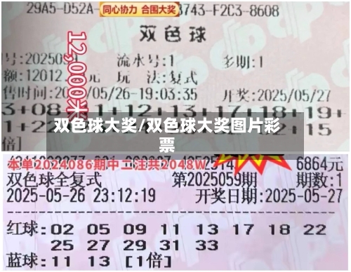 双色球大奖/双色球大奖图片彩票-第2张图片