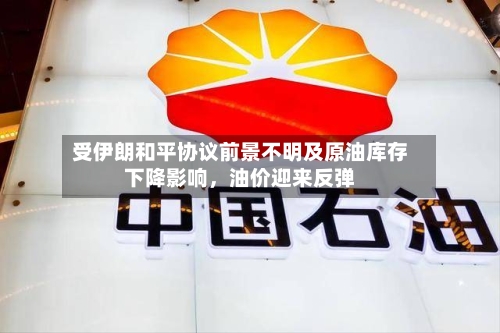 受伊朗和平协议前景不明及原油库存下降影响，油价迎来反弹-第3张图片