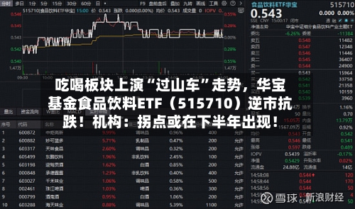 吃喝板块上演“过山车”走势	，华宝基金食品饮料ETF（515710）逆市抗跌！机构：拐点或在下半年出现！-第3张图片