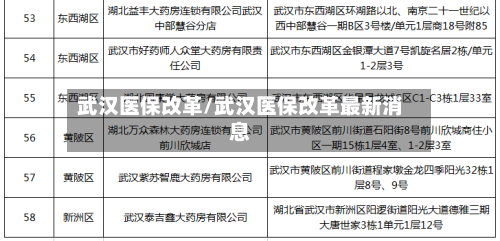 武汉医保改革/武汉医保改革最新消息-第2张图片