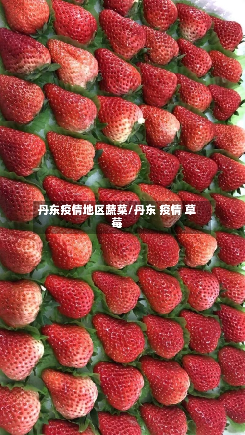 丹东疫情地区蔬菜/丹东 疫情 草莓-第2张图片
