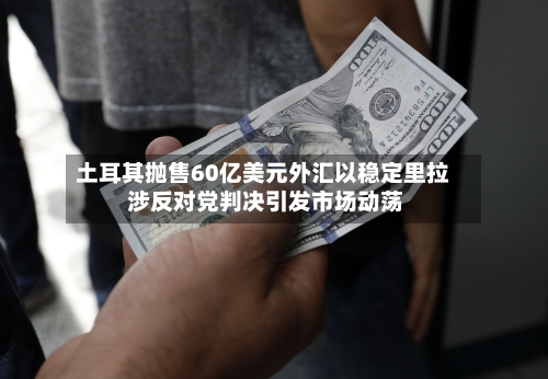 土耳其抛售60亿美元外汇以稳定里拉 涉反对党判决引发市场动荡-第2张图片
