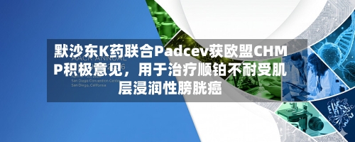 默沙东K药联合Padcev获欧盟CHMP积极意见，用于治疗顺铂不耐受肌层浸润性膀胱癌-第1张图片