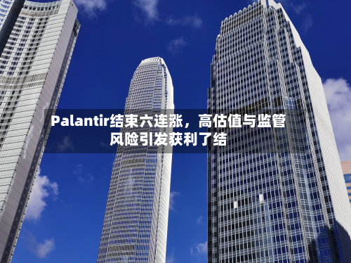 Palantir结束六连涨	，高估值与监管风险引发获利了结-第3张图片