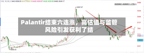 Palantir结束六连涨，高估值与监管风险引发获利了结-第1张图片