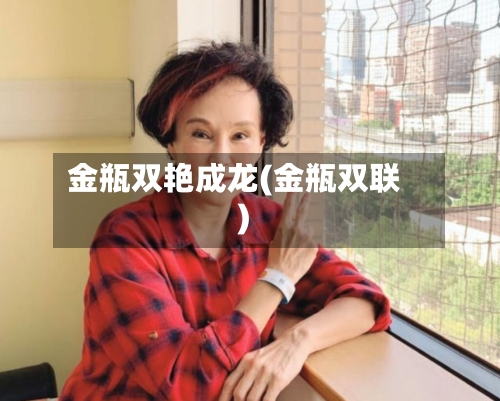 金瓶双艳成龙(金瓶双联)-第2张图片