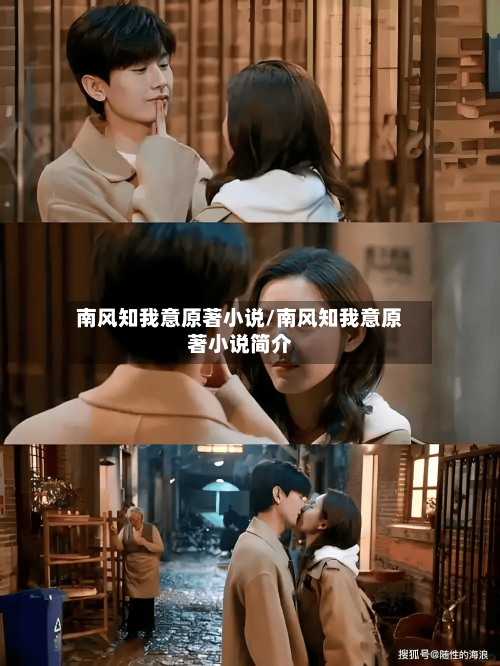 南风知我意原著小说/南风知我意原著小说简介-第1张图片