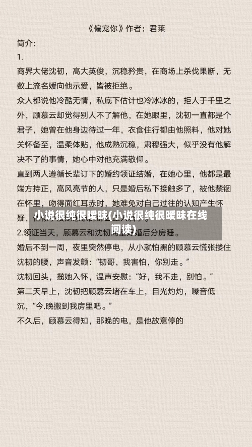 小说很纯很暧昧(小说很纯很暧昧在线阅读)-第1张图片