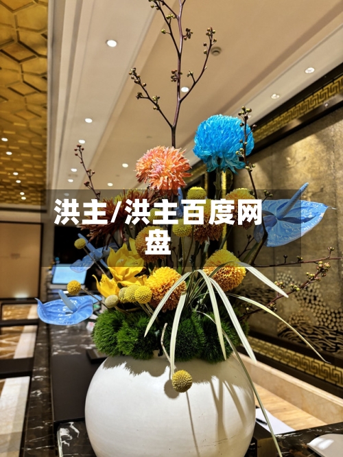 洪主/洪主百度网盘-第2张图片