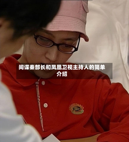 间谍秦部长和凤凰卫视主持人的简单介绍-第2张图片