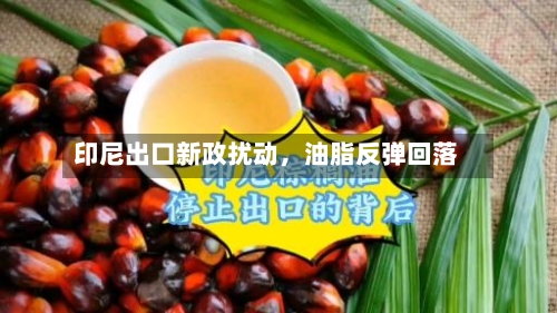 印尼出口新政扰动	，油脂反弹回落-第1张图片