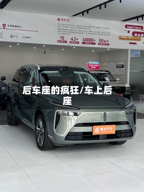 后车座的疯狂/车上后座-第2张图片