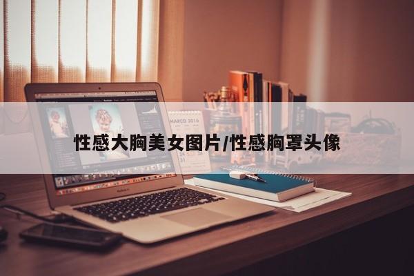 性感大胸美女图片/性感胸罩头像