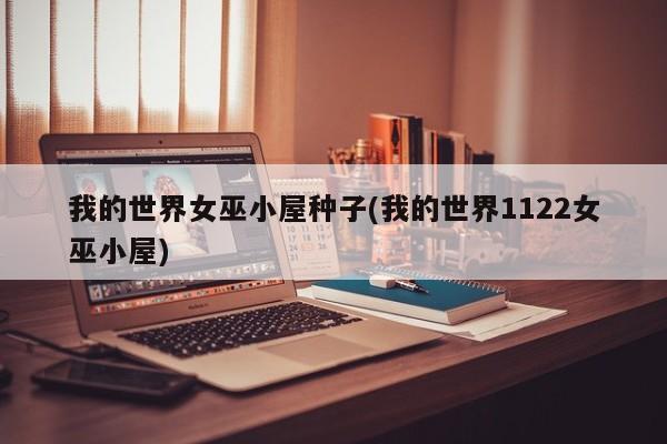我的世界女巫小屋种子(我的世界1122女巫小屋)