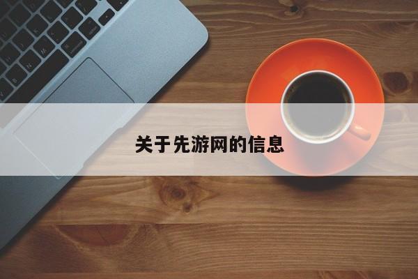 关于先游网的信息