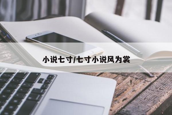 小说七寸/七寸小说风为裳